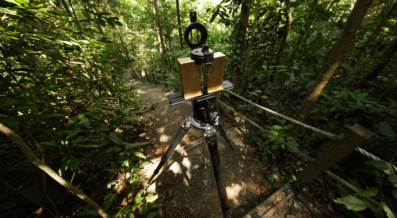 <span style="font-size:16px;">RapidDirect</span><br type="_moz"> <br type="_moz"> <link href="https://fonts.googleapis.com/css?family=Open Sans" rel="stylesheet" type="text/css">