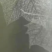 7-Hot-stamping-aluminum-foil